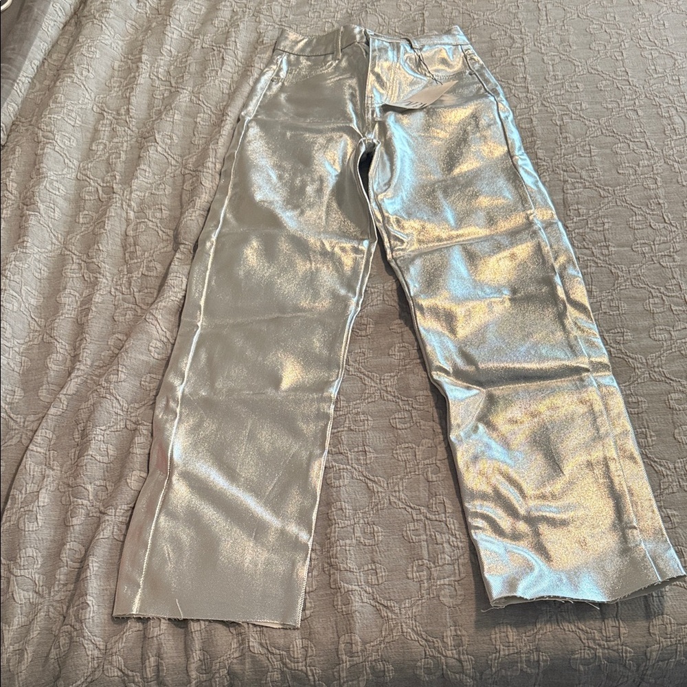Shiny Silver Pants